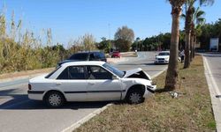 Alkolden ehliyeti iptal edilen sürücü otomobille palmiyeye çarptı