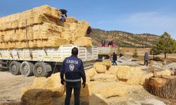 Deprem bölgesine yem ve saman desteği