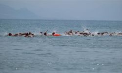 Alanya'da yüzme yarışlarına 300 sporcu katıldı