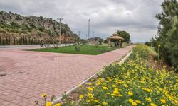  Masa Dağı’na seyirlik park