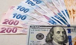 Dolar/TL kuru 25 TL'yi aştı