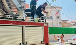 Alanya'da itfaiye mahsur kalan kediyi kurtardı