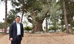 Millet Ormanı ile Millet Bahçesi projeleri Antalyalılarla buluşuyor