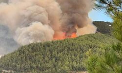 Alanya'da yangın söndürme çalışmaları devam ediyor