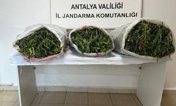Antalya'da 19 kilo skunk maddesi ele geçirildi
