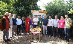 Alanya'da Tropikal Meyve Festivali başladı