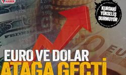 Dolar yükselecek mi? Türk lirası değerlenecek mi?