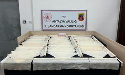 Antalya'da bonzai operasyonu: 3 gözaltı