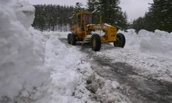 Alanya'da karda mahsur kalanları Büyükşehir ekipleri kurtardı
