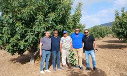 Alanyalı üreticiler Kıbrıs'ta AR-GE ve saha çalışması yaptı