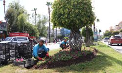 Alanya Belediyesi kenti çiçek bahçesine dönüştürüyor