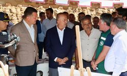 Alanya Yeniköy Baraj inşaatı yeniden başladı