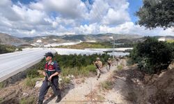 Alanya'da tarım ürünlerine yönelik hırsızlıklar önleniyor