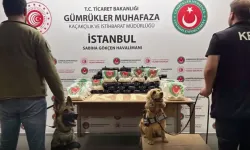 Gümrük Muhafaza'dan zehir tacirlerine geçit yok!