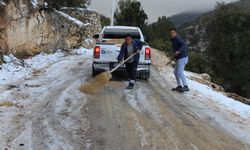 Alanya'da buz tutan yollarda tuzlama çalışması