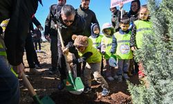 Bugünün fidanları yarının nefesi olacak