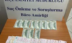 Sahte dolarla esnafı dolandıran şüpheliler tutuklandı