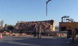 Tomruk yüklü kamyon refüje devrildi: Manavgat’ta maddi hasar