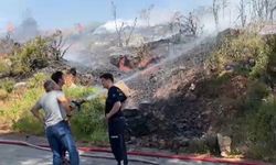 Alanya'da makilik yangını