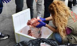 Antalya'da çöp poşetlerinde taşınan 300 kilogram et yakalandı