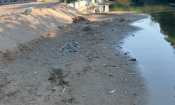 Antalya'da denize dökülen kanalda balık ölümlerine inceleme