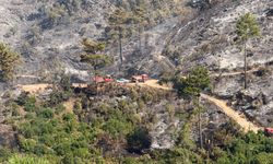 Alanya’da orman yangını 9 saatte kontrol altına alındı