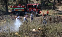 Alanya'da rüzgar müdahaleyi güçleştiriyor
