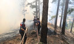 Antalya Valiliği, Alanya ve Gazipaşa'daki yangınlar için açıklama yaptı