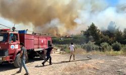 Antalya'da çalılıkta çıkan yangın ormana sıçradı