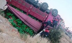 Domates yüklü kamyon devrildi; 1 ölü
