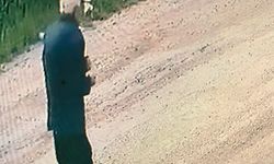 Gazipaşa'da 56 gündür bulunamadı