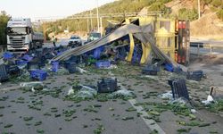 Sebze yüklü kamyon devrildi, sürücü yaralandı