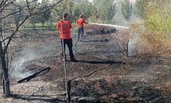 Bahçedeki yangın korkuttu