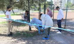 Bankta oturur halde ölü bulundu