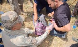 Kayıp kadın ormanda bulundu