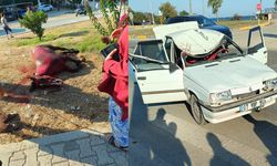 Sahildeki başıboş at yola çıkınca otomobil çarptı: 3 yaralı