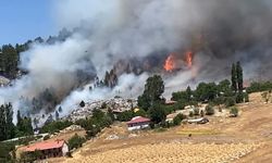 Alanya Söğüt Yaylası’nda alevler yükseldi