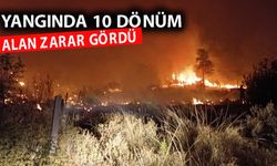 Antalya'da orman yangını 5 saatte kontrol altına alındı