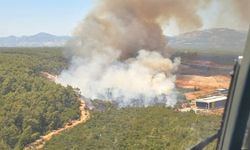 Antalya'da orman yangını