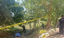 Devrilen traktörünün altında kalıp, hayatını kaybetti