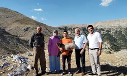 Hibe destekle başladı, 186 koyun yetiştirdi