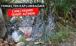 Kapuz Kanyonu'ndaki kirliliğe tepki