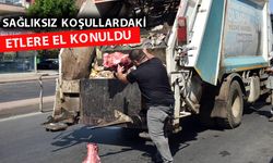 Antalya'da tarihi geçmiş etler ele geçirildi