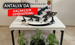 Antalya'da silah kaçakçılığı operasyonu: 5 gözaltı