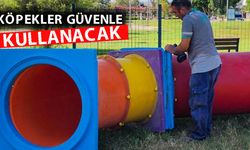 Köpek Eğitim Parkı'na yeni parkurlar