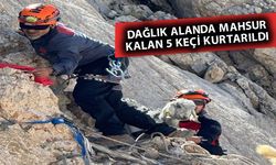 Gündoğmuş'ta mahsur kalan 5 keçi kurtarıldı