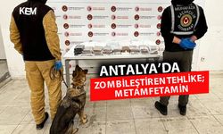 Esrar ve metamfetamine 'gümrük' darbesi