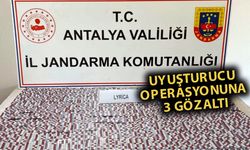 Alanya ve Manavgat'ta operasyon: 3 gözaltı