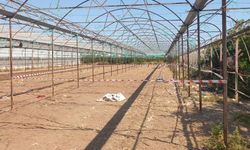 Antalya'da pompalı tüfekle husumetlisinin serasını bastı: 2 ölü