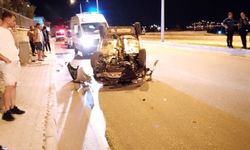 Tilkiye çarpmamak için manevra yapınca takla attı